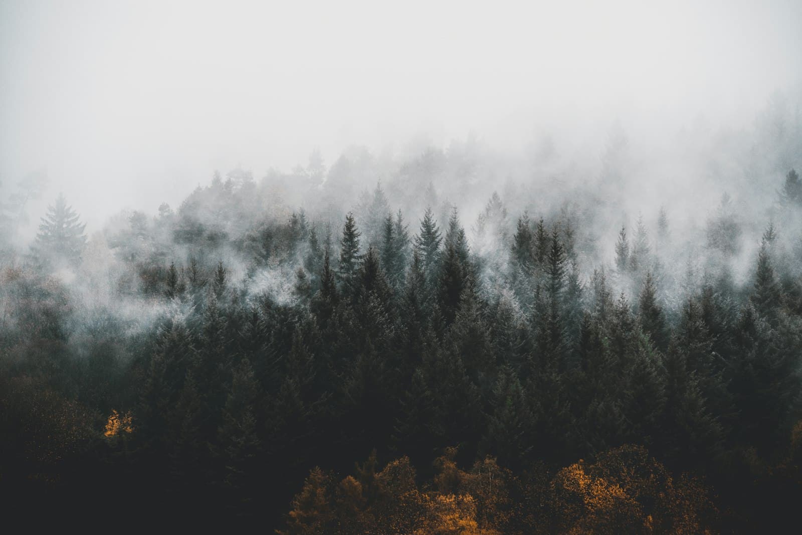 Cacheable Custom Gradle Tasks