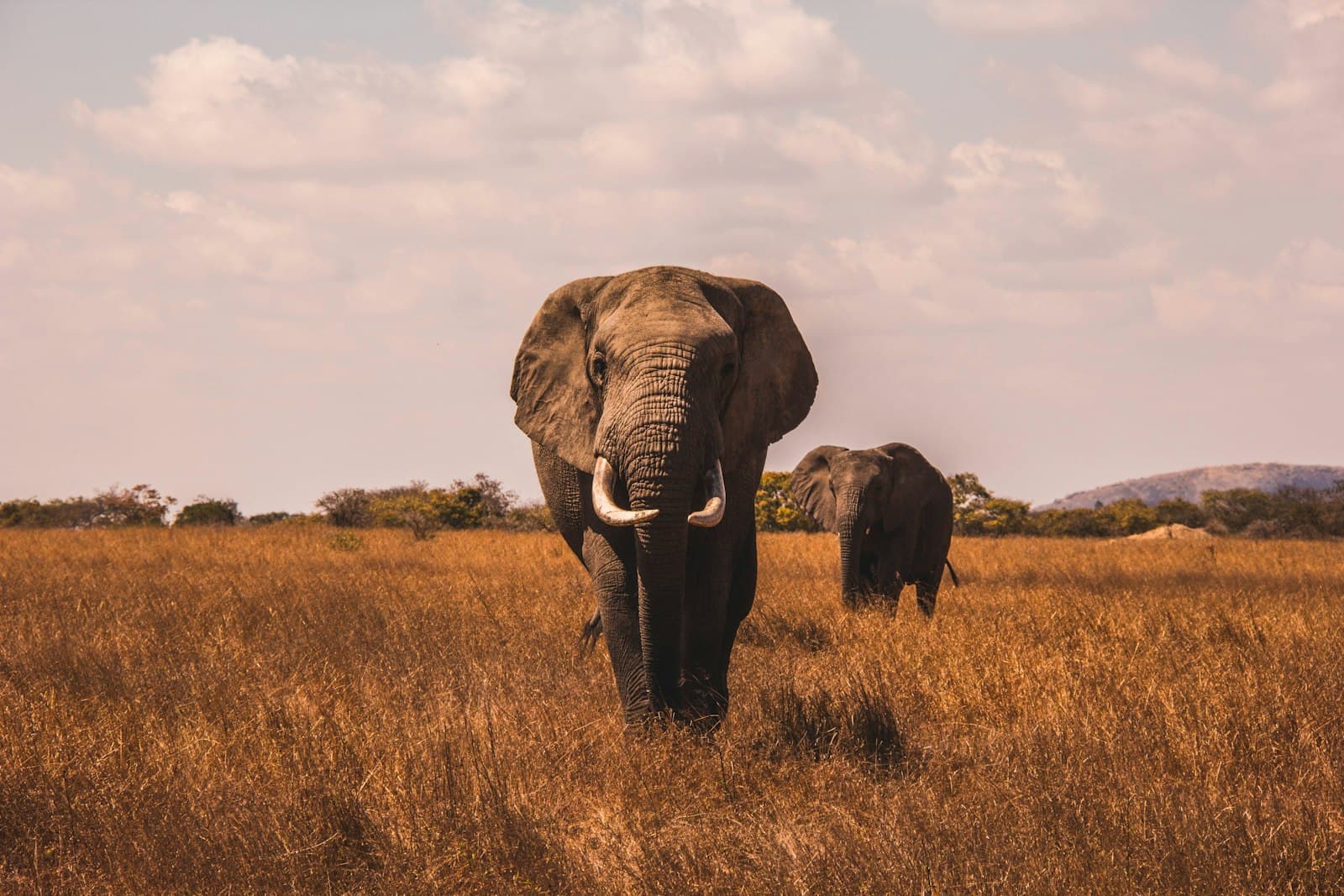 Migrate Your Android App To Gradle Version Catalogs