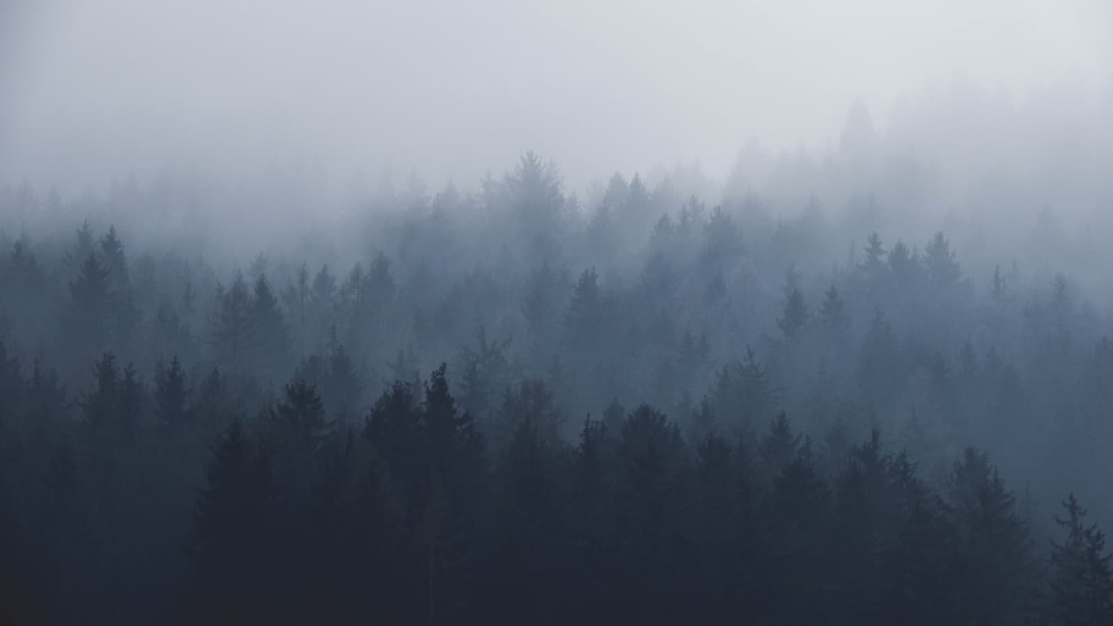 Profiling Android Builds With Gradle Profiler